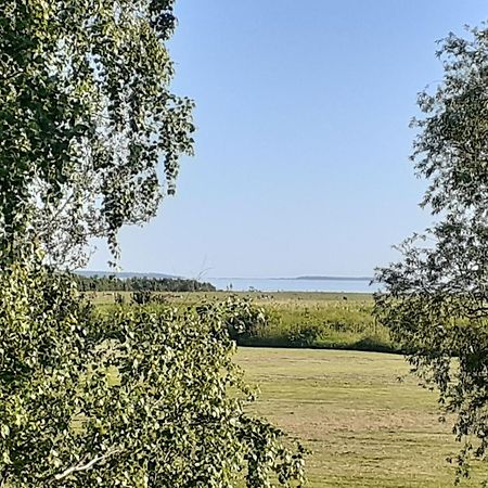 Tuule Villa Kuressaare Exterior photo